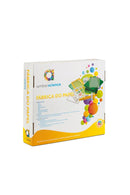 Fábrica do Papel (8+)