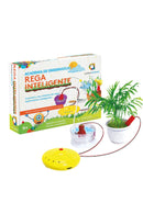 Rega Inteligente (6+)