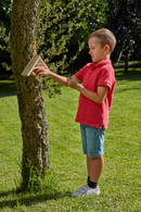 Hotel para Insetos (6+)