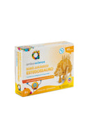 Estegossauro - Robô Puzzle 3D (6+)